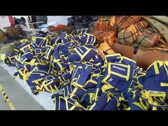 Lichtgewicht Geïsoleerde Koelere het Strand Koelere Rugzak van de Zakken Grote Capaciteit